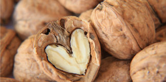 Nüsse – lecker und gesund! Nüsse