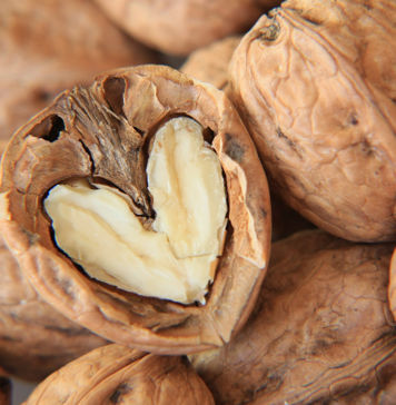 Nüsse – lecker und gesund! Nüsse