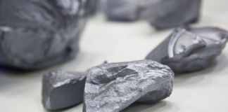 Silizium – essentielles Spurenelement? Silizium