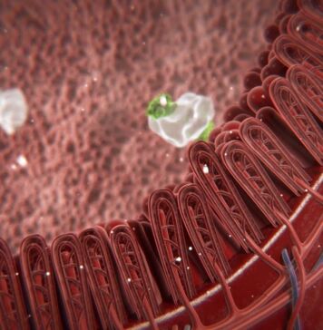 Zeolith – ein Wunderpulver?