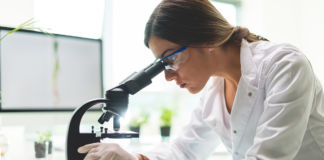 Die Darmflora unter neuesten wissenschaftlichen Erkenntnissen Darmflora