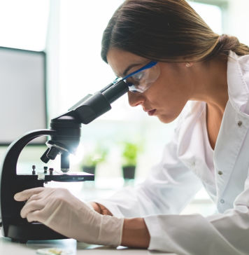 Die Darmflora unter neuesten wissenschaftlichen Erkenntnissen Darmflora