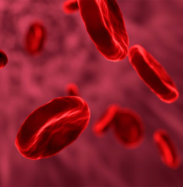 Eisen – Funktion, Bedarf und geeignete Lebensmittel Eisen