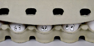 Eier sind doch gesund! Eier