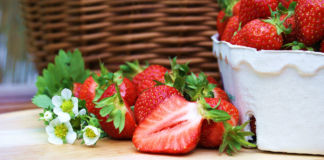 Endlich Zeit für Erdbeeren! Erdbeeren