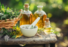 So machen Sie Kräuter haltbar