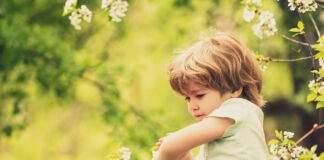 Mückenstiche: vorbeugen und behandeln Mueckenstiche