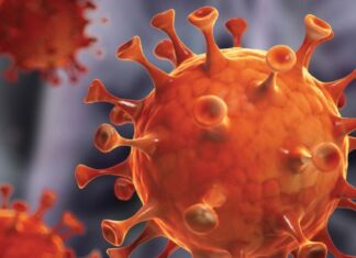 FRAGE: Hat MANC® einen Einfluss auf Coronaviren? Virus