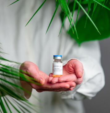 Ein neuer COVID-19 Impfstoff aus Pflanzen? Verstopfung