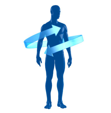 Ein ausbalanciertes Immunsystem; Quelle Deiner Gesundheit / Live Webcast mit Marcus Stanton – 29.09.2021