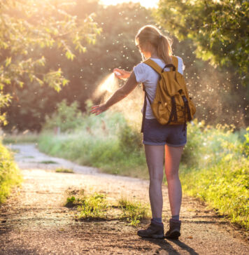 Die Mückenzeit beginnt!