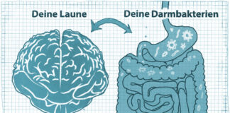 Beginnt Stress im Kopf oder im Darm?
