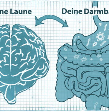 Beginnt Stress im Kopf oder im Darm?