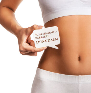 Ihre Schleimhautbarrieren – Teil 4: Dünndarm