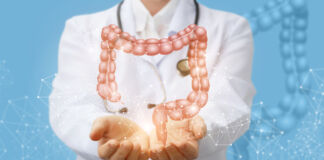 Ihre Schleimhautbarrieren Teil 5: Dickdarm Dickdarm