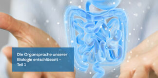 Die Organsprache unserer Biologie entschlüsselt – Teil 1 / LIVE mit Raik Garve – 15.02.2023