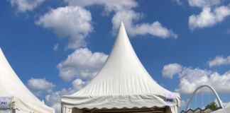 10. Lebensfreude Festival! FROXIMUN ist dabei!