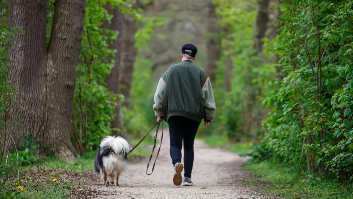 Entspannter Spaziergang in der Natur – Sinnbild dafür, den Stoffwechsel ankurbeln zu wollen