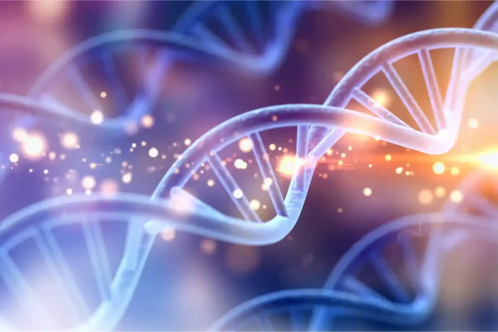 Das menschliche Genom (DNA)