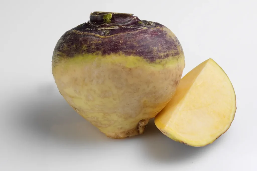 Steckrübe als Wintergemüse